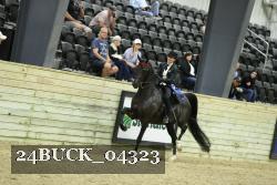 24BUCK_04323 thumbnail