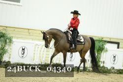 24BUCK_04340 thumbnail