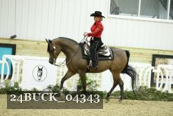 24BUCK_04343 thumbnail