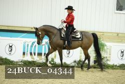 24BUCK_04344 thumbnail