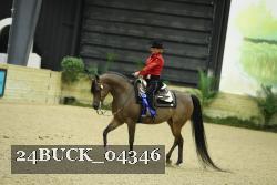 24BUCK_04346 thumbnail
