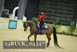 24BUCK_04347 thumbnail