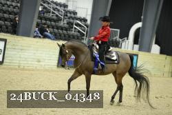 24BUCK_04348 thumbnail