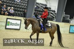 24BUCK_04349 thumbnail