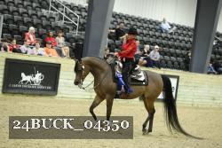 24BUCK_04350 thumbnail