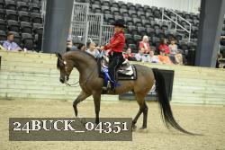 24BUCK_04351 thumbnail