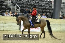 24BUCK_04352 thumbnail