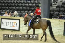 24BUCK_04357 thumbnail