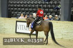 24BUCK_04358 thumbnail