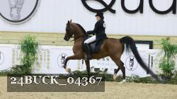 24BUCK_04367 thumbnail