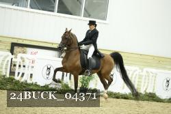 24BUCK_04371 thumbnail