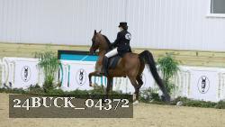 24BUCK_04372 thumbnail