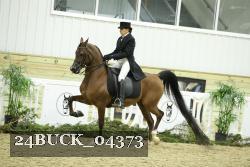 24BUCK_04373 thumbnail