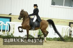 24BUCK_04374 thumbnail