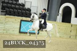 24BUCK_04375 thumbnail