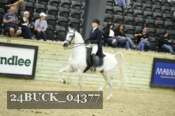 24BUCK_04377 thumbnail