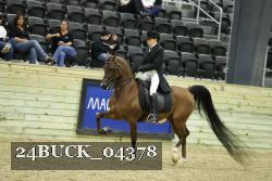 24BUCK_04378 thumbnail