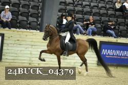24BUCK_04379 thumbnail