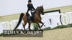 24BUCK_04387 thumbnail