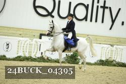 24BUCK_04395 thumbnail