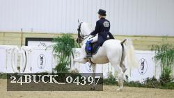 24BUCK_04397 thumbnail