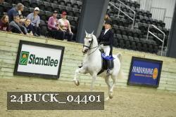 24BUCK_04401 thumbnail