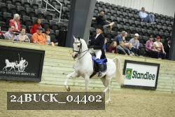 24BUCK_04402 thumbnail