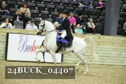 24BUCK_04407 thumbnail
