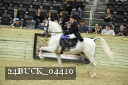 24BUCK_04410 thumbnail
