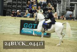 24BUCK_04411 thumbnail