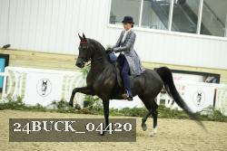 24BUCK_04420 thumbnail