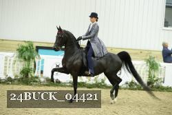 24BUCK_04421 thumbnail
