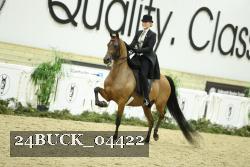 24BUCK_04422 thumbnail