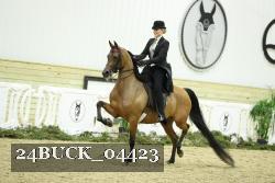 24BUCK_04423 thumbnail