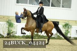 24BUCK_04424 thumbnail