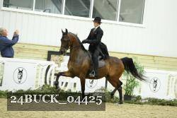 24BUCK_04425 thumbnail