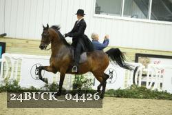 24BUCK_04426 thumbnail