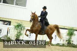 24BUCK_04429 thumbnail