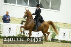 24BUCK_04430 thumbnail