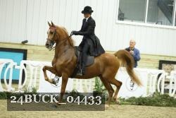 24BUCK_04433 thumbnail