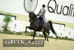 24BUCK_04435 thumbnail