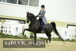 24BUCK_04436 thumbnail