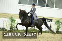 24BUCK_04437 thumbnail