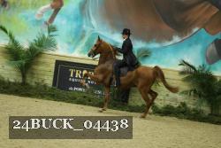 24BUCK_04438 thumbnail