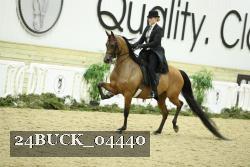 24BUCK_04440 thumbnail