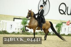 24BUCK_04441 thumbnail