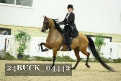 24BUCK_04442 thumbnail
