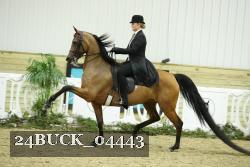 24BUCK_04443 thumbnail