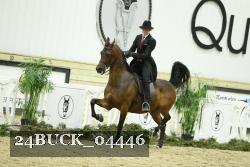 24BUCK_04446 thumbnail
