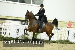 24BUCK_04447 thumbnail